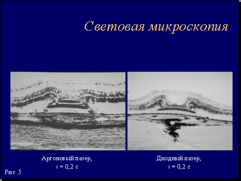 Рис. 5.